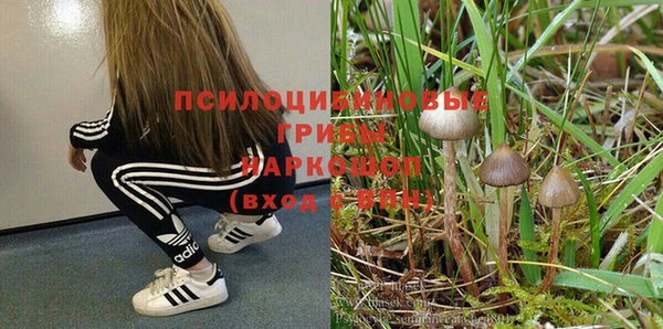 скорость mdpv Алзамай