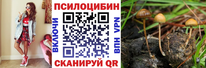 Галлюциногенные грибы GOLDEN TEACHER  Терек 